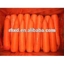Новая свежая морковь урожай 2015 морковь экспорта в Таиланд
